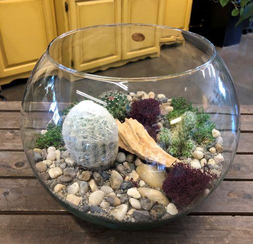 Cactus Bowl Arrangement