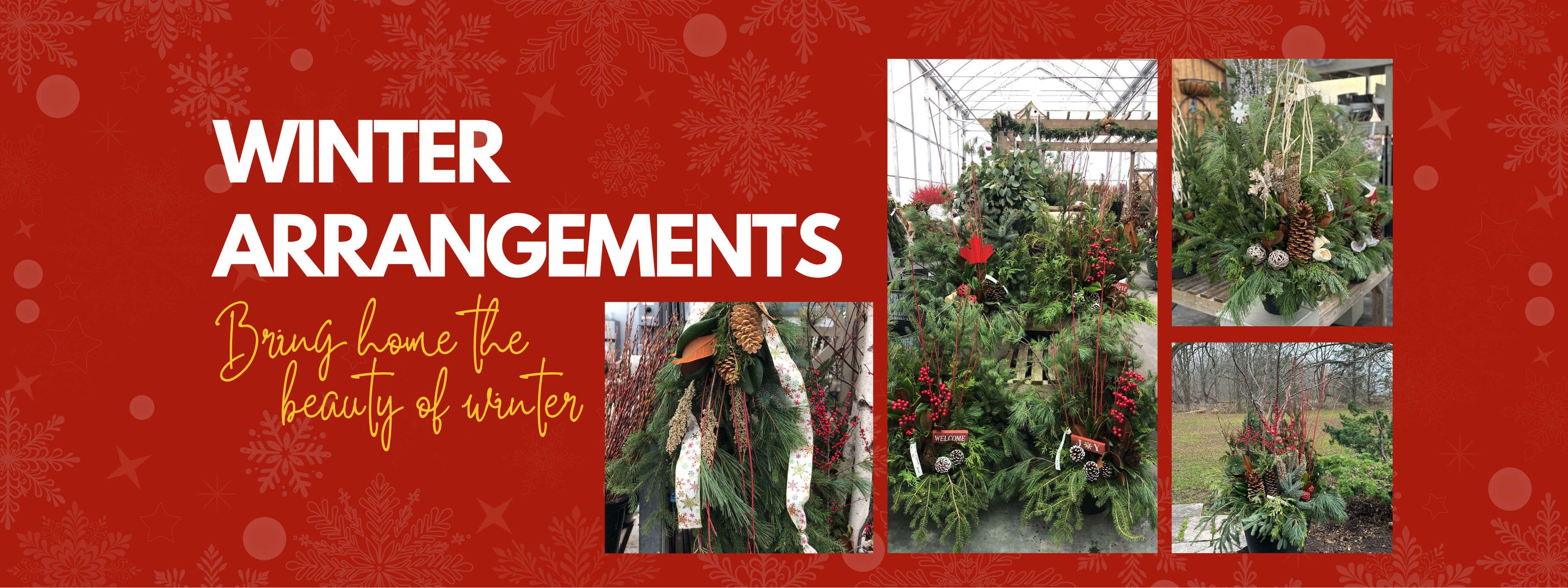 Winter arrangements at Beyond the House with evergreens, pinecones, and red berries.