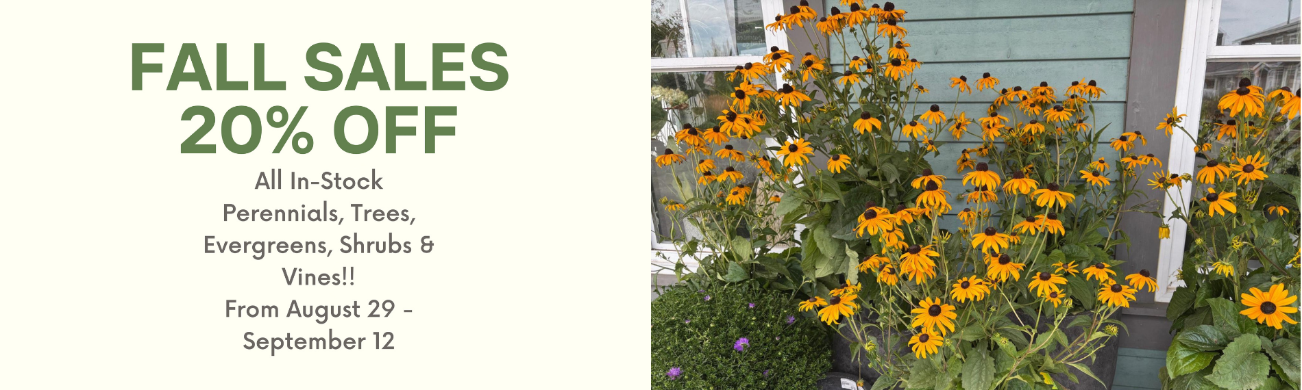 Fall Sale 20% Off perennials, trees, evergreens, shrubs, and vines until September 12 at our Garden shop in Ottawa