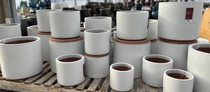   OUTDOOR POTS HAVE ARRIVED 