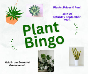 Plant Bingo