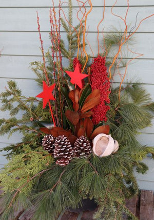 Workshop - Outdoor Winter Arrangement