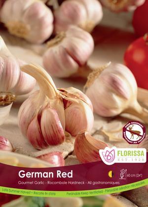 Garlic 'German Red'