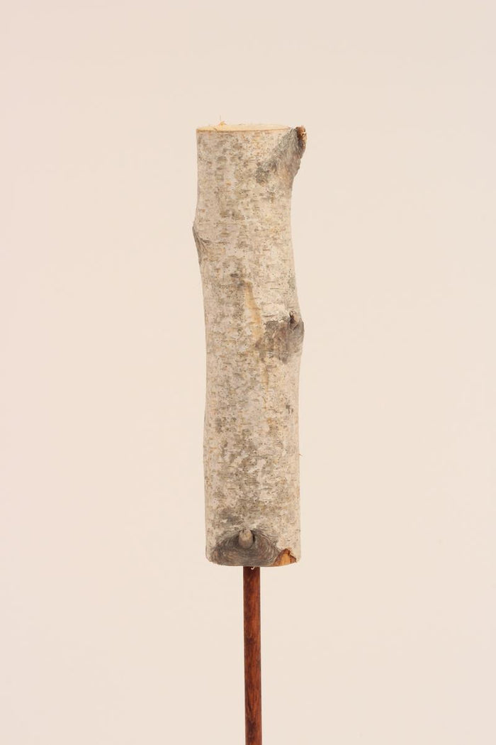 Birch Stake - Natural