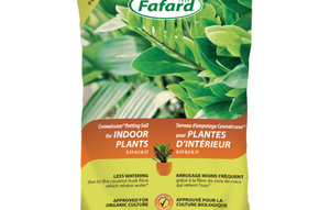 Soil - Indoor Tropical Mix