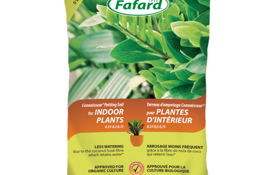 Soil - Indoor Tropical Mix