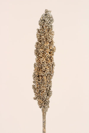 Milo Berries - Champagne Glitter