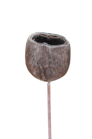 Palm Nut - White Wash