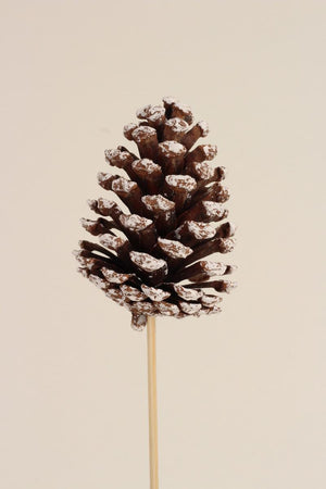 Pinecone - Large White Tip