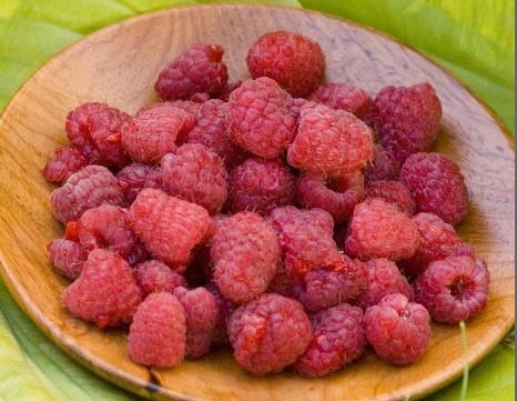 Raspberry 'Heritage' (Red) - Organic