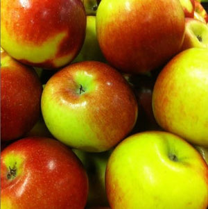 Apple 'Empire'
