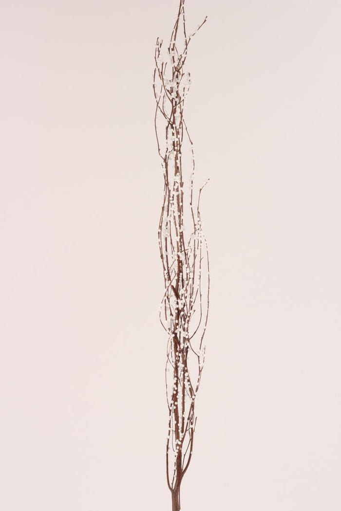 Birch Branches - White Berries