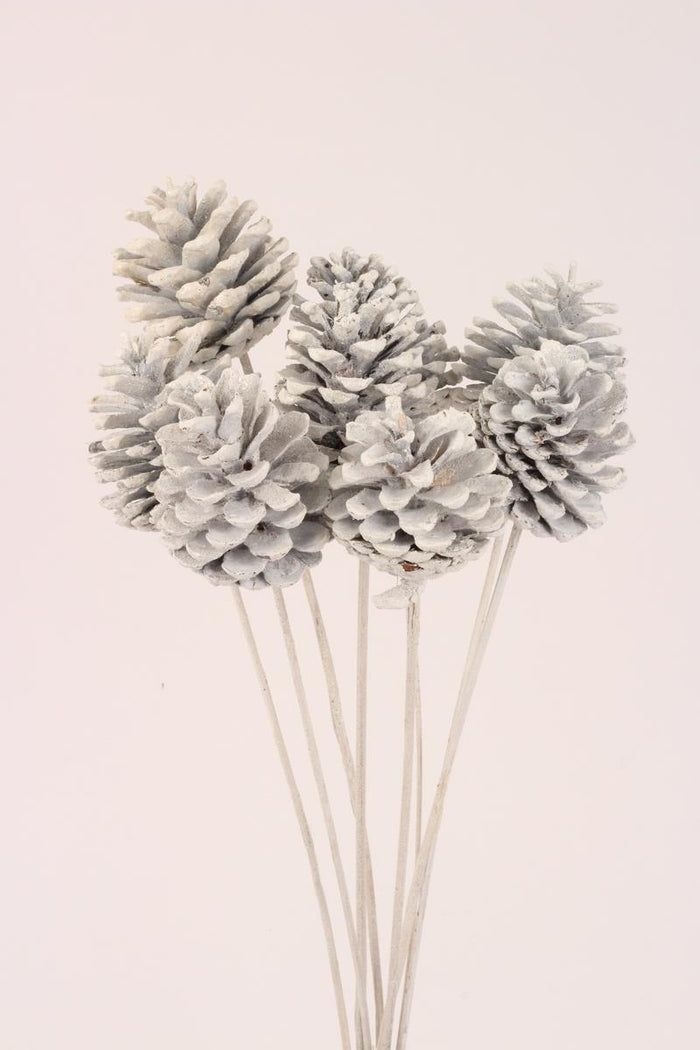 Pinecone - Small White Frost