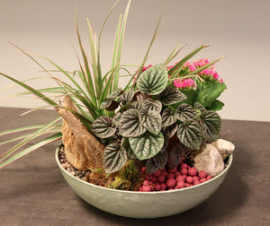 Workshop - Tropical Plant Arrangement