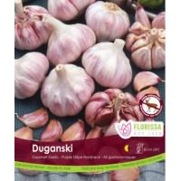 Garlic "Duganski"