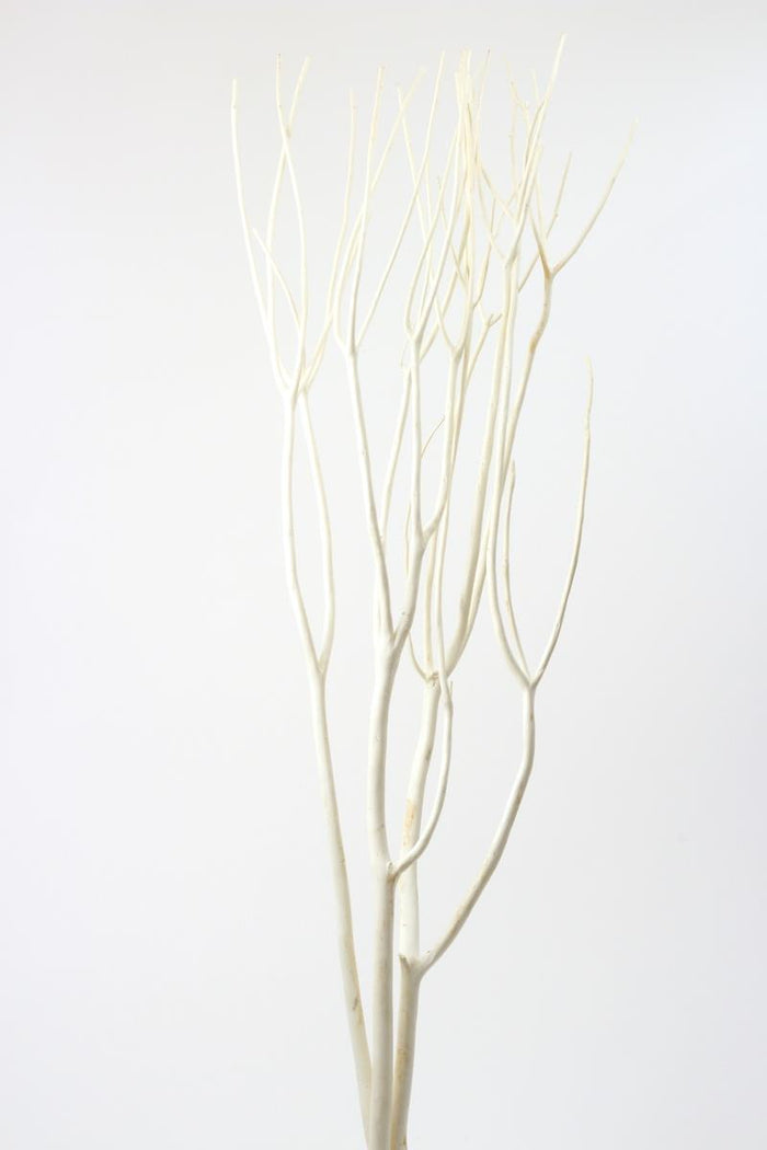 Mitsumata Bleached