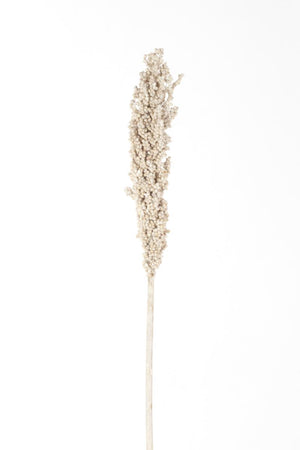 Milo Berries - White Wash