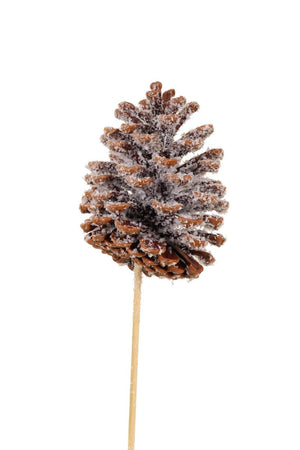 Pinecone - Large Snow