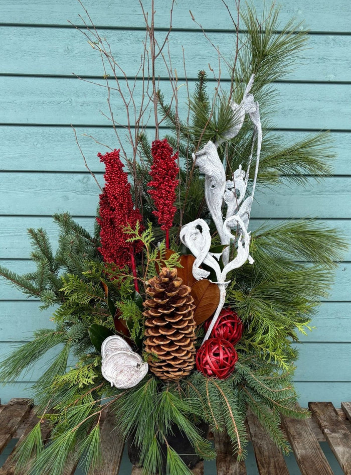 Workshop - Outdoor Winter Arrangement