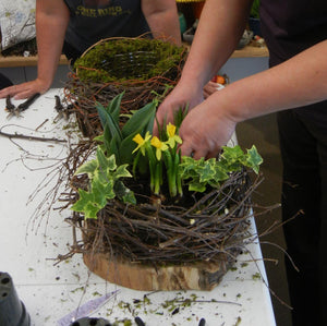 Workshop - Easter Planter