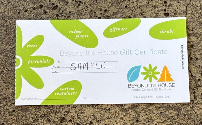 Gift Certificate