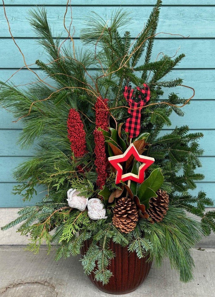 Winter Arrangement - Red Star