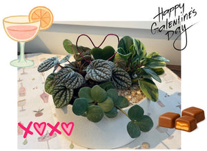 Galentine's Workshop - Plants & Potions