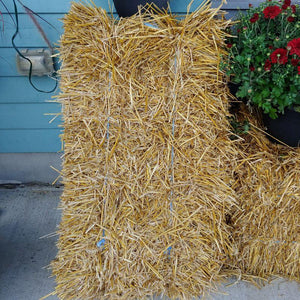 Straw Bale