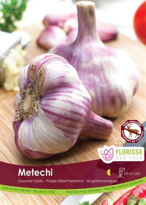 Garlic 'Metechi'