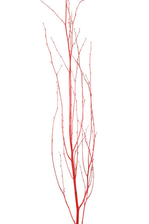 Birch Branches - Red Gloss