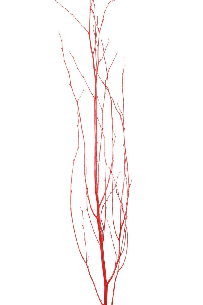 Birch Branches - Red Gloss