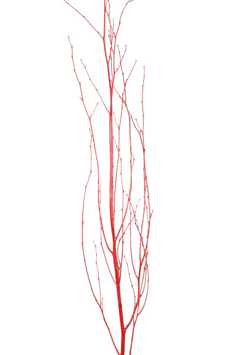 Red Glittered Birch Branches